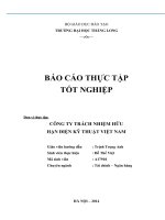 Tiểu luận phân tích HOẠT ĐỘNG sản XUẤT KINH DOANH của CÔNG TY TNHH điện kỹ THUẬT VIỆT NAM