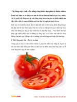 Tẩy lông mặt vĩnh viễn bằng công thức đơn giản từ thiên nhiên