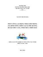 Phân công lao động theo giới trong gia đình nông thôn tại địa bàn xã phú dương, huyện phú vang, tỉnh thừa thiên huế