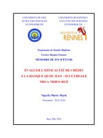 Évaluer lefficacité de crédit à la banque quoc dan   succursale thua thien hué