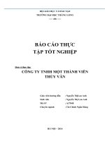 Tiểu luận phân tích HOẠT ĐỘNG sản XUẤT KINH DOANH của CÔNG TY TNHH MTV thủy vân