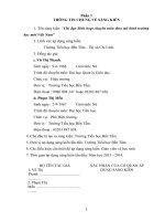 skkn chỉ đạo sinh hoạt chuyên môn theo mô hình trường học mới VNEN tiểu học 