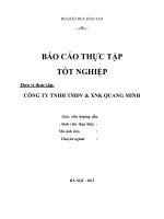 Tiểu luận phân tích HOẠT ĐỘNG SẢN XUẤT KINH DOANH CỦA CÔNG TY TNHH TMDV  XNK QUANG MINH