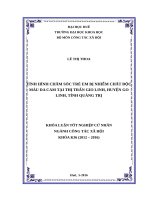 TÌNH HÌNH CHĂM sóc TRẺ EM bị NHIỄM CHẤT độc màu DA CAM tại THỊ TRẤN GIO LINH, HUYỆN GO LINH, TỈNH QUẢNG TRỊ