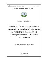Chiết xuất, phân lập một số hợp chất và thăm dò tác dụng hạ acid uric của lá sa kê (artocarpus communis j r forster  g forter)