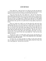 Tiểu luận một số biện pháp phát triển công nghiệp nông thôn