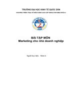 Xây dựng chiến lược marketing cho dịch vụ nông sản tại công ty cổ phần sản xuất và thương mại đỗ lê