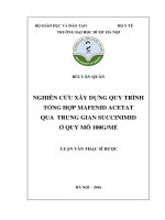 NGHIÊN cứu xây DỰNG QUY TRÌNH TỔNG hợp MAFENID ACETAT QUA TRUNG GIAN SUCCINIMID ở QUY mô 100g mẻ