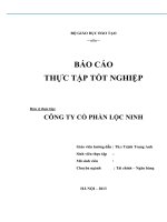 Tiểu luận phân tích HOẠT ĐỘNG sản XUẤT KINH DOANH của CÔNG TY cổ PHẦN lộc NINH