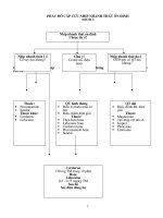 PHÁC ĐỒ CẤP CỨU NHỊP NHANH THẤT ỔN ĐỊNH mộtđa ổ
