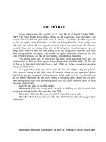 Tiểu luận hình ảnh VN năm 2030 