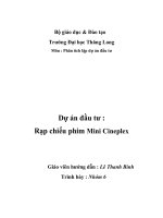 Tiểu luận kế hoạch kinh doanh dự án rạp chiếu phim cinemini