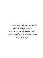 Chuyên đề cải thiện tình trạng ô nhiễm và an toàn vệ sinh thực phẩm đường phố hà nội