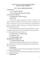 Giáo án dự án dạy học tích hợp liên môn trong dạy học sinh học 9 