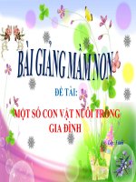 Bài giảng điện tử đề tài Một số con vật nuôi trong nhà
