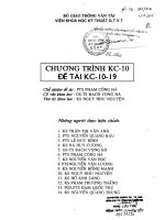 Những thông tin bổ sung về quy hoạch giao thông thành phố hà nội và thành phố hồ chí minh 