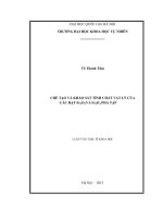 Luận văn Thạc sĩ Khoa học Chế tạo và khảo sát tính chất vật lý của các hạt Fe3O4 và Fe3O4 pha tạp