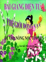 Bài giảng điện tử đề tài Nòng nọc con tìm mẹ