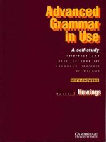 11   advanced grammar in use   a sell study 2002 