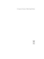 A comparative grammar of british english dialects 