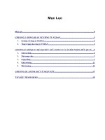 Tiểu luận đạo đức kinh doanh mối quan hệ đạo đức giữa công ty VEDAN và các đối tượng hữu quan