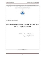 Khảo sát một số yếu tố ảnh hưởng đến chất lượng bánh mì