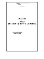 [Tiểu luận cao học môn Khoa học quản lý] Tìm hiểu hệ thống chính trị