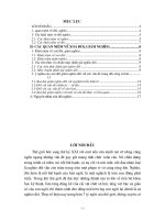 Luận văn thực trạng và phương hướng giải quyết vấn đề xoá đói giảm nghèo tại huyện quỳ châu  tỉnh nghệ an 