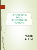 Software testing: Dynamic testing