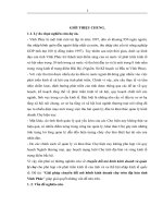 Luận văn giải pháp chuyển đổi mô hình kinh doanh chợ trên địa bàn tỉnh vĩnh phúc 