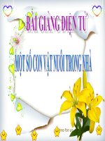 Bài giảng điện tử đề tài Một số con vật nuôi trong nhà