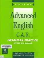 20   FOCUS ON advanced english grammar practice   1999 