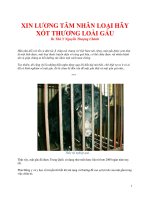 XIN LƯƠNG TÂM NHÂN LOẠI HÃY XÓT THƯƠNG LOÀI GẤU