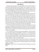 Báo cáo thực tập tốt nghiệp Kế toán khoản phải thu khách hàng tại doanh nghiệp tư nhân Dũng Hoà Đà Nẵng