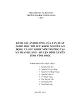 Đánh giá ảnh hưởng của sản xuất nghề mộc tới sức khỏe của người lao động và môi trường