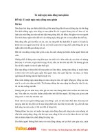 Văn mẫu lớp 6: Tả một ngày mùa đông mưa phùn