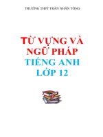 Từ vựng và ngữ pháp tiếng anh lớp 12
