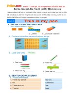 Bài tập tiếng anh lớp 3 (mới) Unit 8: This is my pen
