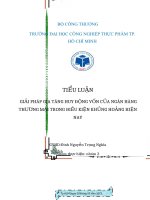 GIẢI PHÁP GIA TĂNG HUY ĐỘNG VỐN CỦA NGÂN HÀNG THƯƠNG MẠI TRONG ĐIỀU KIỆN KHỦNG HOẢNG HIỆN NAY