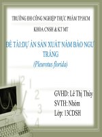 lập dự án trồng nấm bào ngư trắng