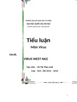 West nile virus   vũ thị thùy linh   k23  QH 2014 2016
