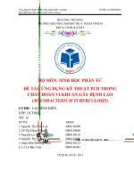 ung dung ky thuat pcr trong chan doan vi khuan lao