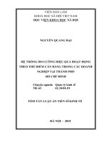 Hệ thống đo lường hiệu quả hoạt động theo thẻ điểm cân bằng trong các doanh nghiệp tại thành phố hồ chí minh (TT)