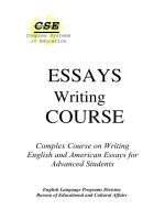 english essays writing course for advanced students 