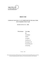 Báo cáo đánh giá tác động của các hiệp định thương mại tự do đối với kinh tế Việt nam
