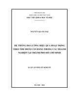 Hệ thống đo lường hiệu quả hoạt động theo thẻ điểm cân bằng trong các doanh nghiệp tại thành phố hồ chí minh