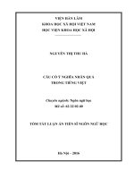 luận án câu có ý nghĩa nhân quả trong tiếng việt (TT)