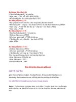 LỘ TRÌNH học TIẾNG ANH THÀN kì