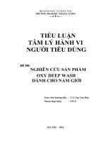 Tiểu luận tâm lý hành vi người tiêu dùng nghiên cứu sản phẩm oxi deep wash dành cho nam giới