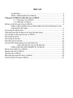 Tiểu luận đao đức kinh doanh PMU18 và những ảnh hưởng đến các giá trị đạo đức